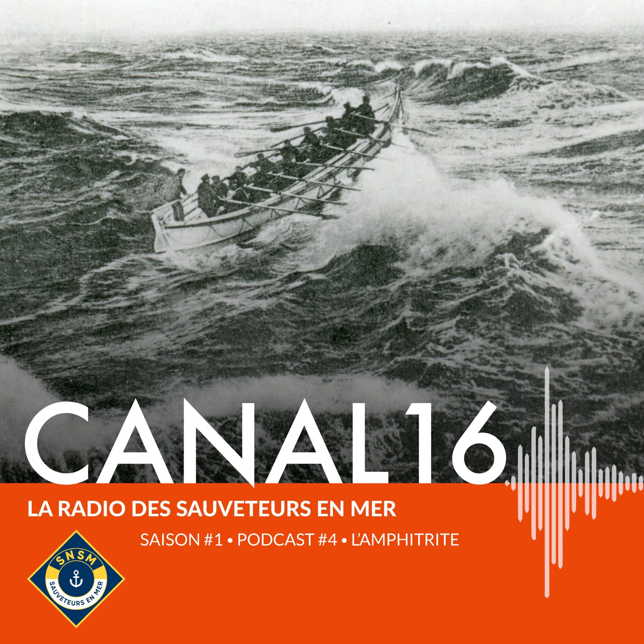Vignette podcast saison 1 épisode 4 - L'Amphitrite