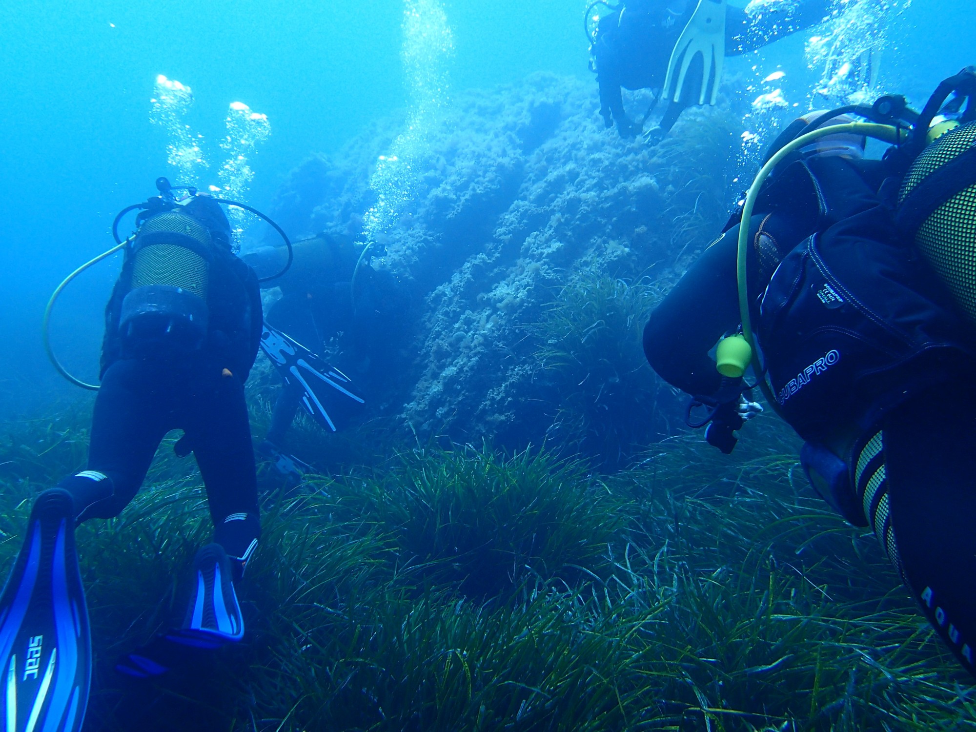 plongee-sous-marine-photo-pascale-cossin