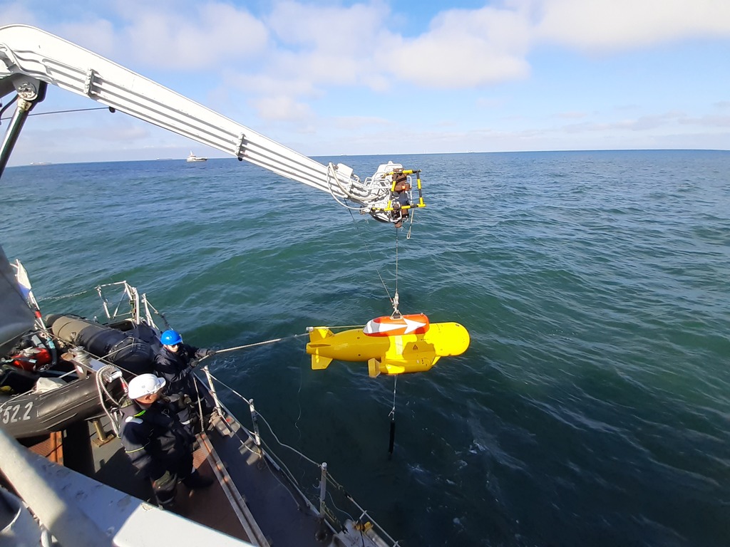 Poisson autopropulsé